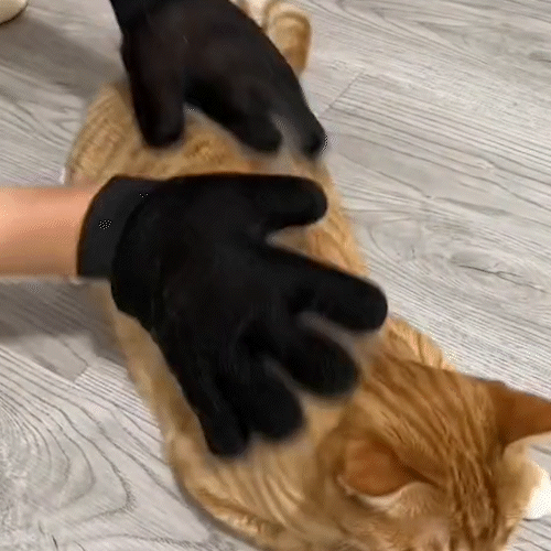 🐶😺 Guante Quita Pelo Para Mascotas